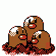 051.gif